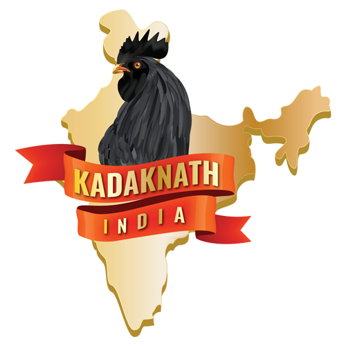 Kadaknath India