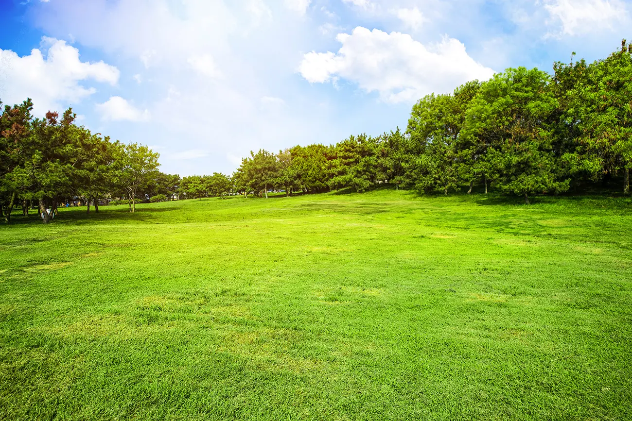 Surrounded By Acres Of Dedicated Green
